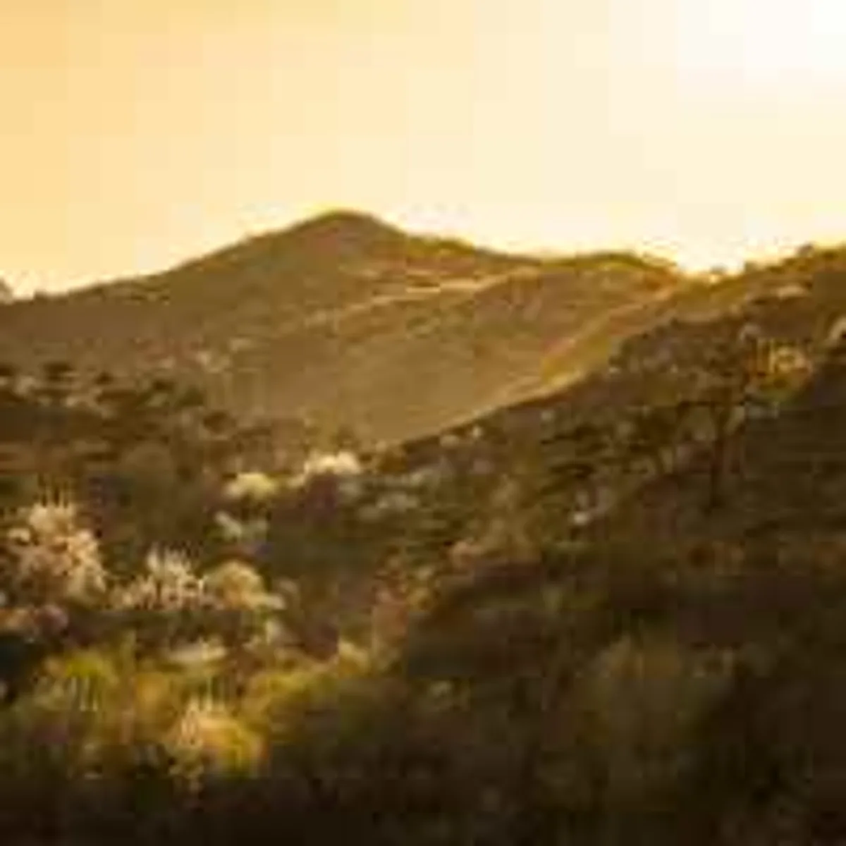 Low-resolution hills at golden hour