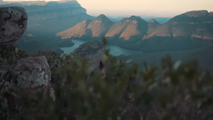 Brush on a ridge above a canyon at dusk