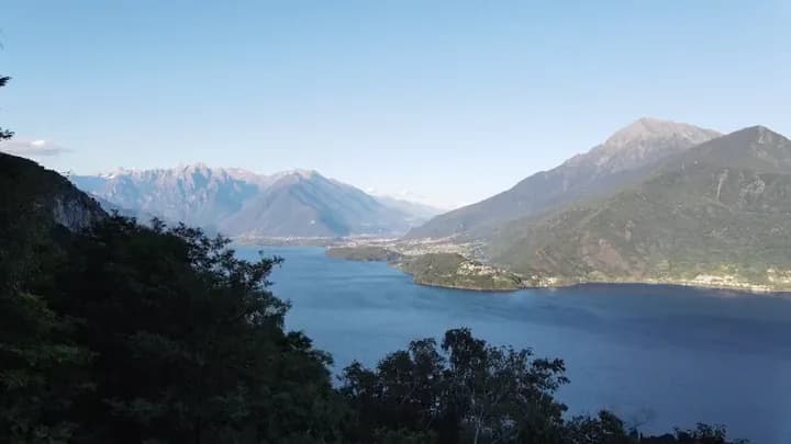 A lake between mountains beyond the trees